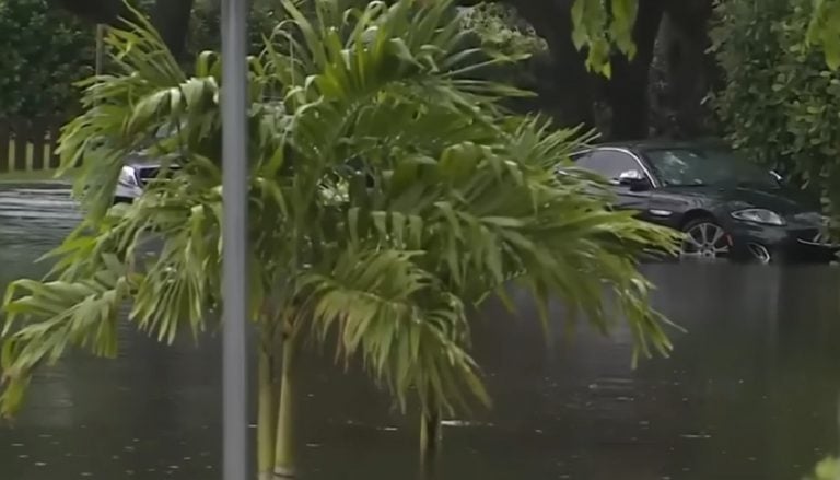 Florida: Ron DeSantis Declara Estado De Emergencia Por Inundaciones En ...