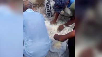 Ancianos recogen leche del suelo. (Captura de pantalla © Yosmany Mayeta Labrada-Facebook)