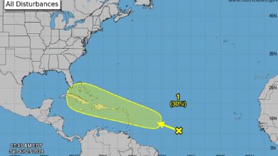 Onda tropical se acerca al Caribe. (Captura de pantalla © National Hurricane Center-Twitter)