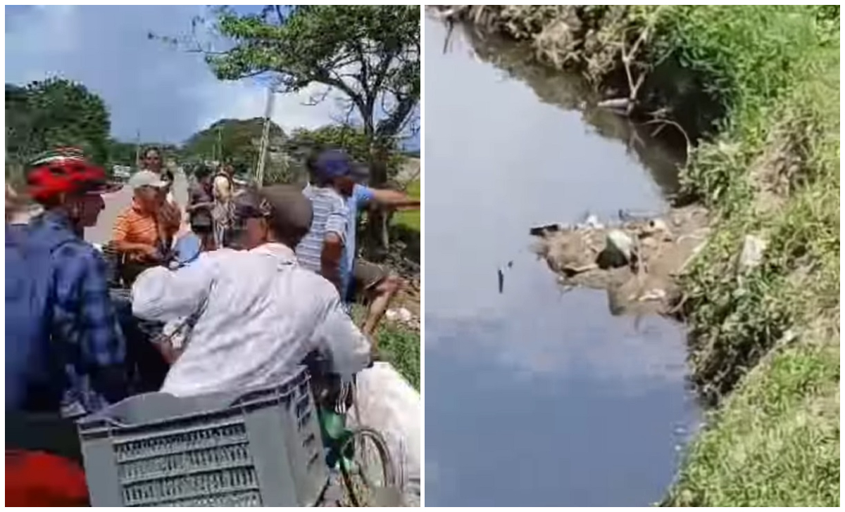 El hallazgo generó sorpresa entre los residentes.