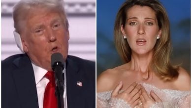 trump y celine dion pbs news hour celine dion youtube