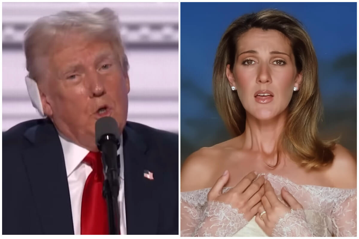 trump y celine dion pbs news hour celine dion youtube