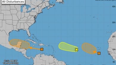 Los múltiples sistemas avanzando hacia el Caribe. (Captura de pantalla © NHC)