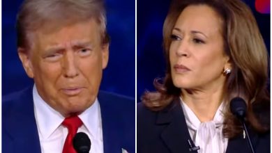 abc news yt kamala y trump