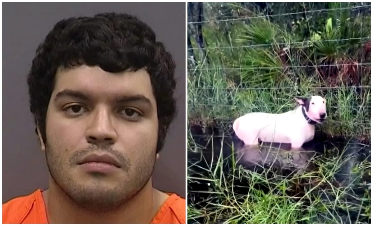 El joven intentó recuperar al perro, pero los trabajadores del refugio en el que estaba, alertaron a la policía. (Captura de pantalla © Autoridades de Florida)