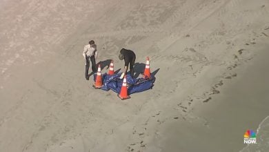 La cabeza humana parece haber recalado. (Captura de pantalla © NBC News-TouTube)