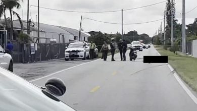 Cubano recién llegado a Florida es atropellado. (Captura de pantalla © Telemundo 51)