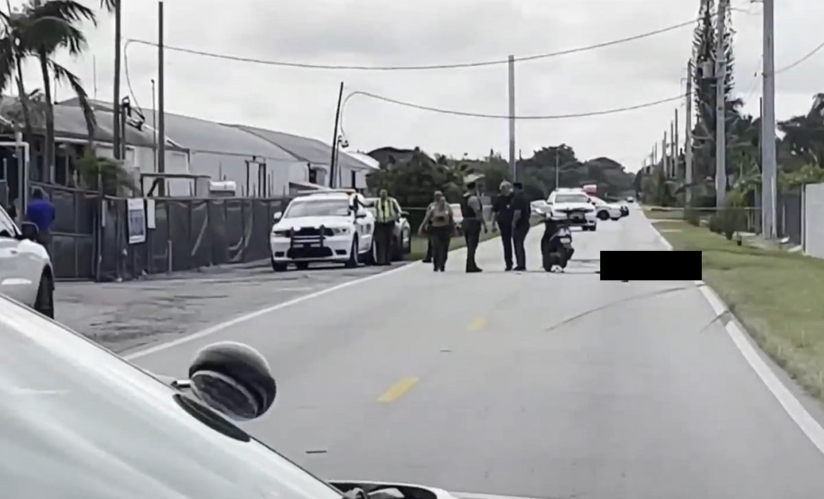 Cubano recién llegado a Florida es atropellado. (Captura de pantalla © Telemundo 51)