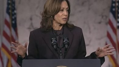 Kamala Harris reconoció su derrota en las elecciones. (Captura de pantalla © euronews (en español)-YouTube)