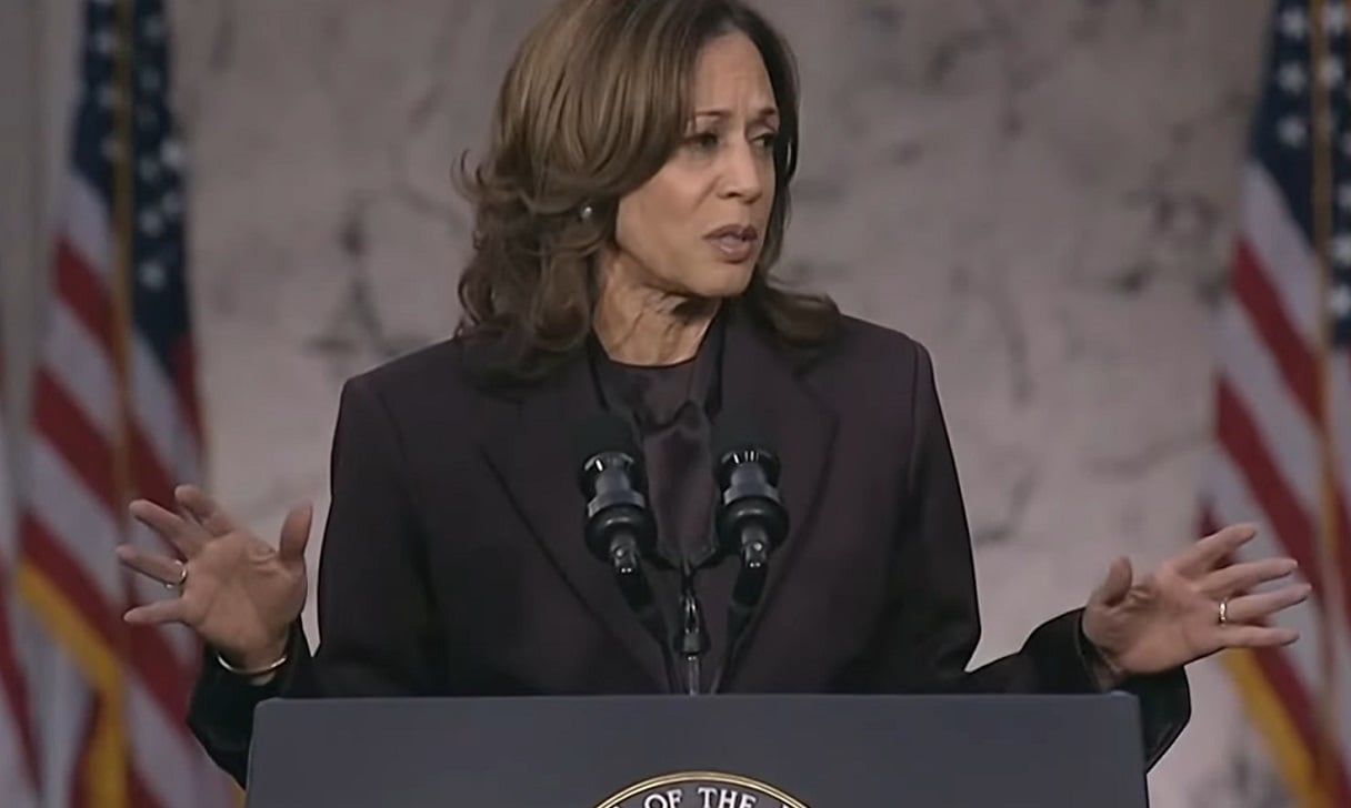 Kamala Harris reconoció su derrota en las elecciones. (Captura de pantalla © euronews (en español)-YouTube)