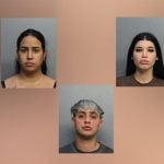 Jóvenes cubanos detenidos en Florida. (Captura de pantalla © Telemundo 51-Web)