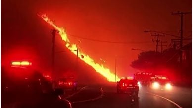 Incendios en California arrasan casi 5.000 hectáreas y miles de viviendas. (Captura de pantalla © CNBC- TV18- YouTube)