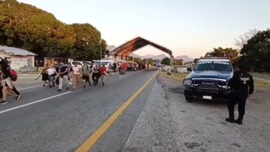 Imágenes de la caravana migrante que se dirige al norte de México. (Captura de pantalla © Diario Del Sur Oem-Facebook)