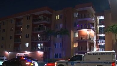 Edificio del que cayó el menor de edad. (Captura de pantalla © Telemundo 51)