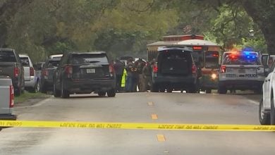 Las autoridades arribaron a la zona tras una denuncia. (Captura de pantalla © NBC Miami)