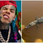 El reguetonero Tekashi 6ix9ine con su cocodrilo en su patio. (Captura de pantalla © Tekashi 6ix9ine- YouTube/ 69 Cocodrilin- Instagram)