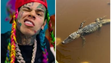 El reguetonero Tekashi 6ix9ine con su cocodrilo en su patio. (Captura de pantalla © Tekashi 6ix9ine- YouTube/ 69 Cocodrilin- Instagram)