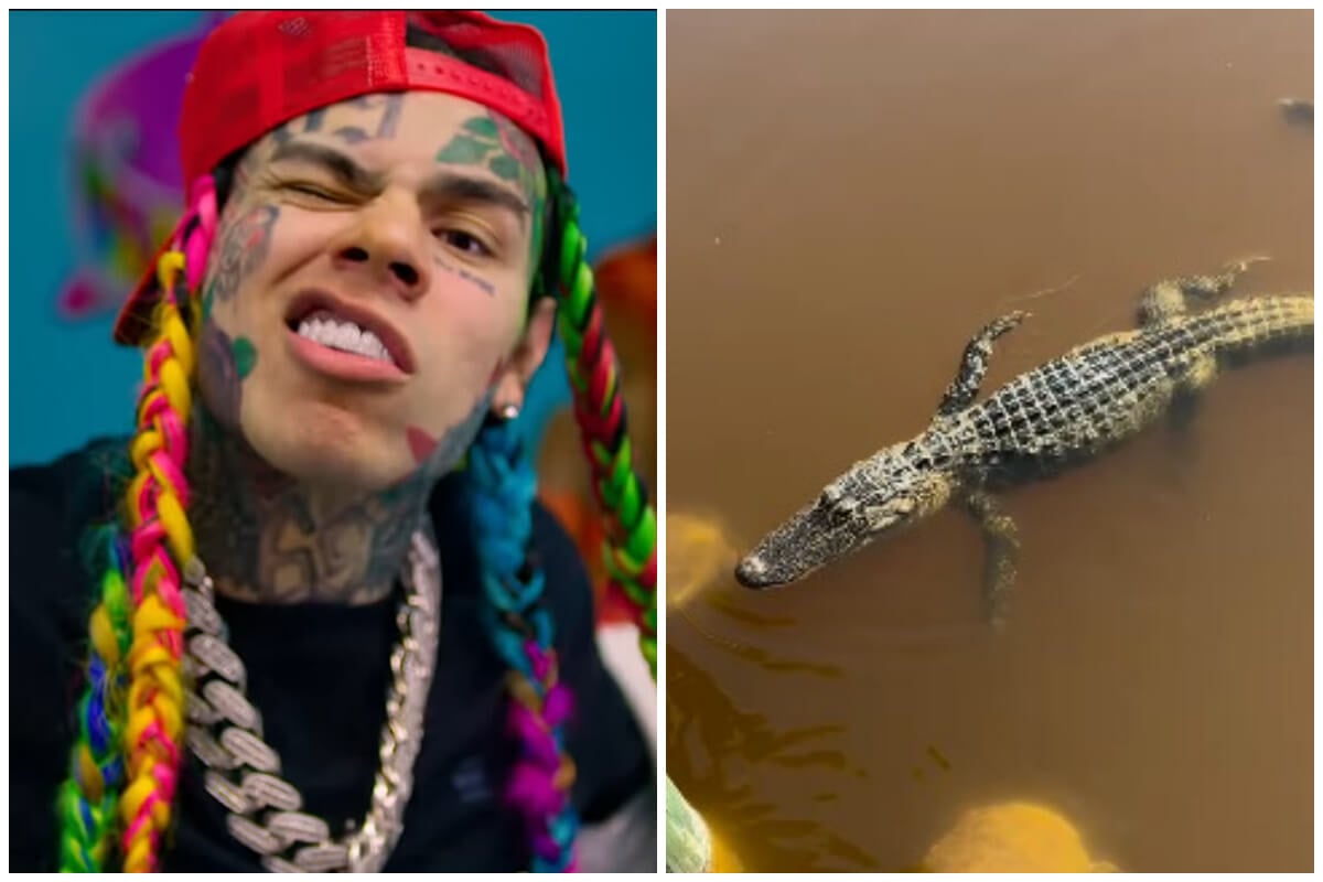 El reguetonero Tekashi 6ix9ine con su cocodrilo en su patio. (Captura de pantalla © Tekashi 6ix9ine- YouTube/ 69 Cocodrilin- Instagram)