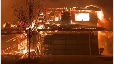 Miles de casas han sido consumidas por las llamas en Los Ángeles. (Captura de pantalla © CNN/ Reuters- YouTube)