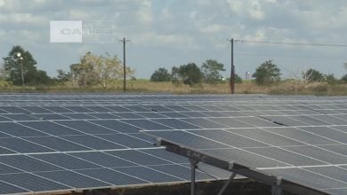 Imagen ilustrativa del parque fotovoltaico de Matanzas. (Captura de pantalla © Canal Caribe-Facebook)