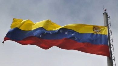 Bandera venezolana ondeando en el viento. (Captura de pantalla © Sterba-YouTube)